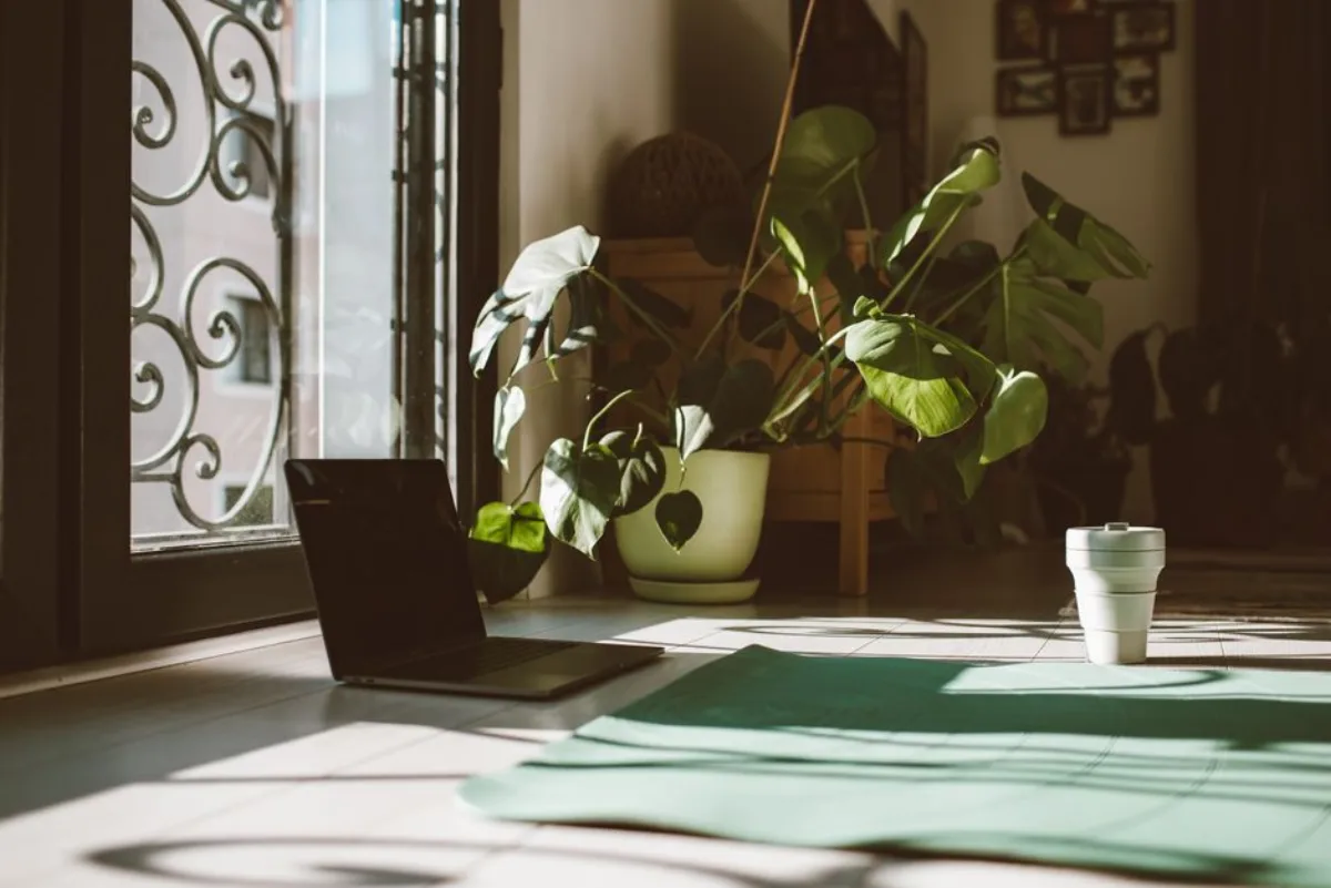 Illustration de l’article Quel tapis de sol choisir pour la maison